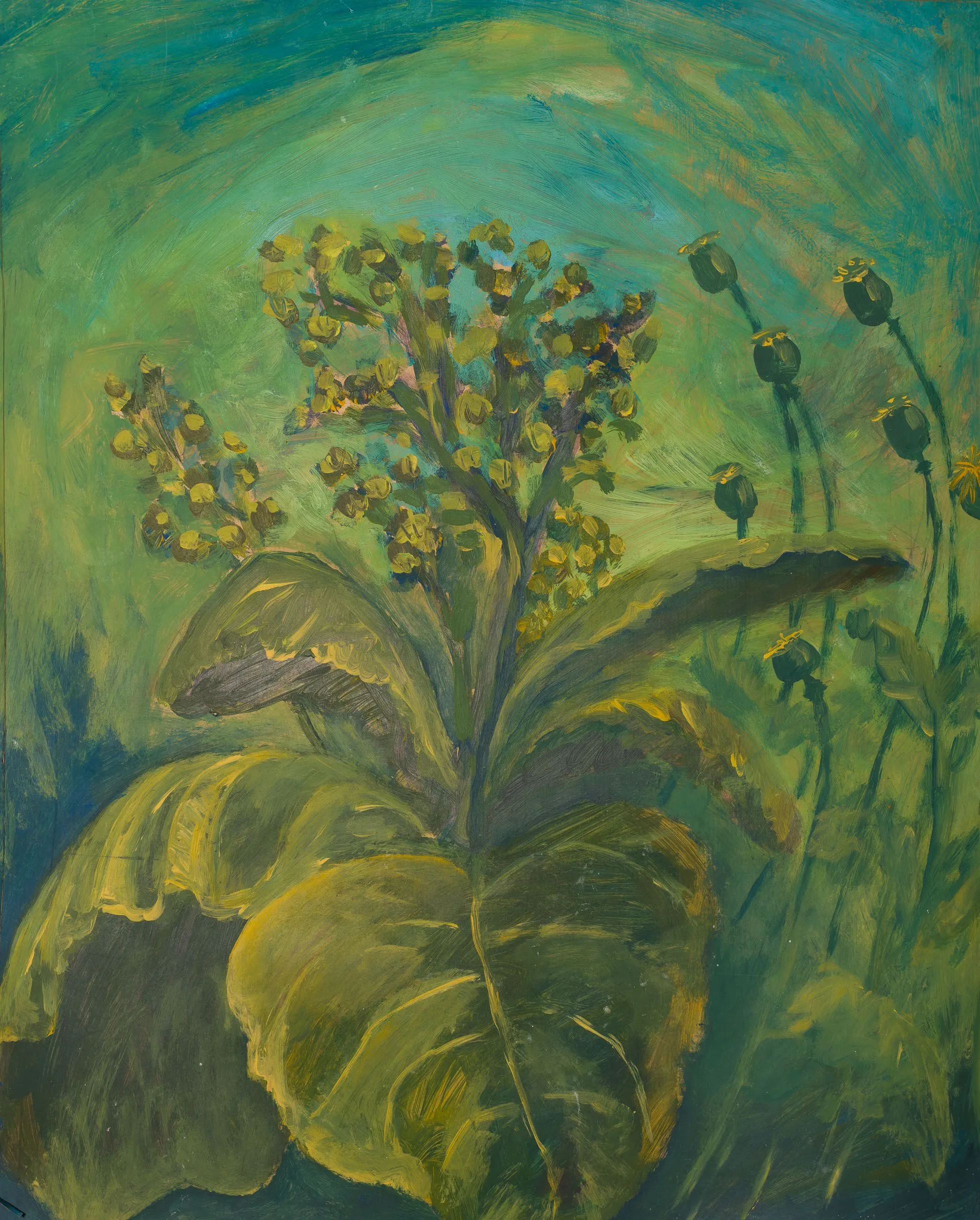 Flowering tobacco 2006, Acrylic on canvas, 40 x 60 cm